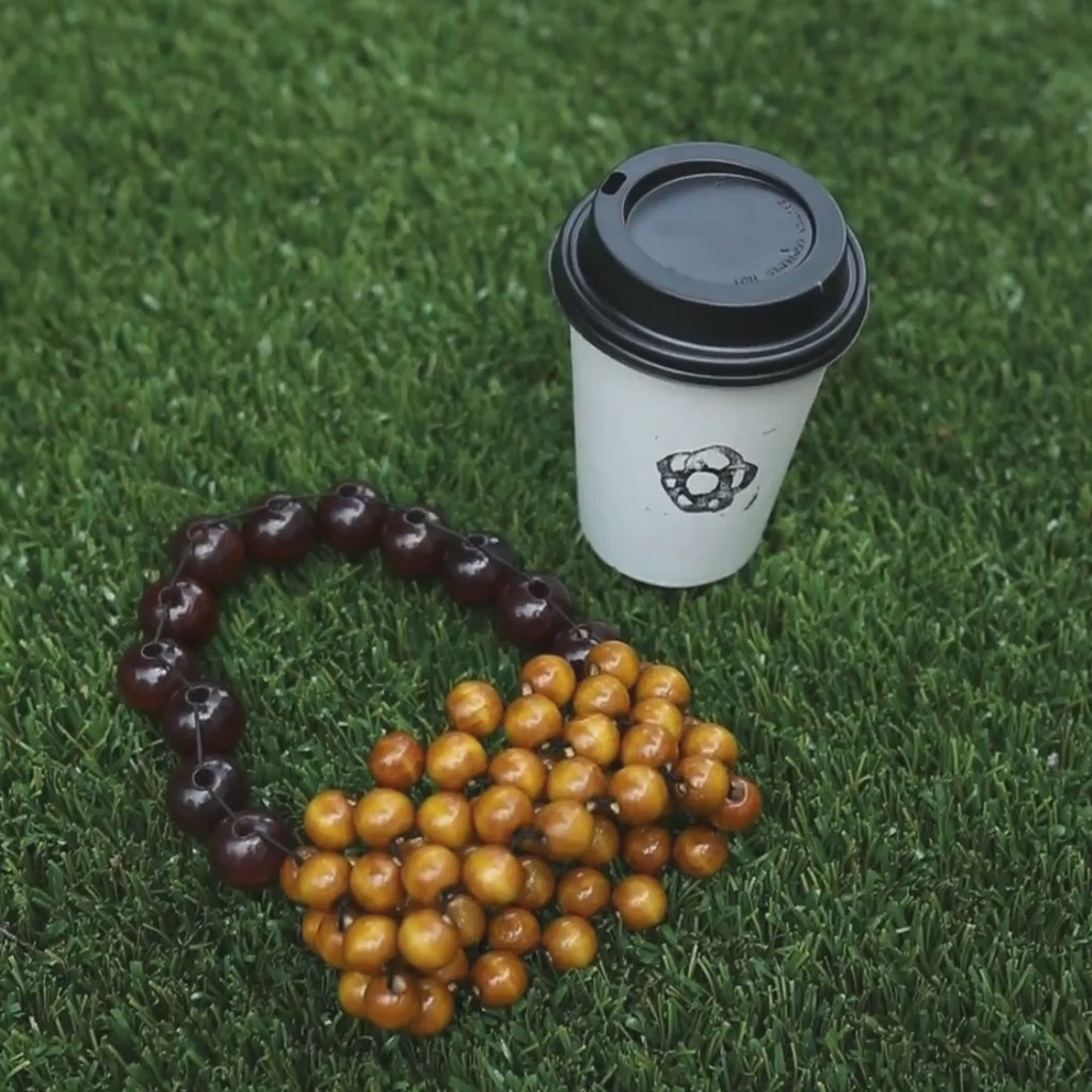 longan brown
